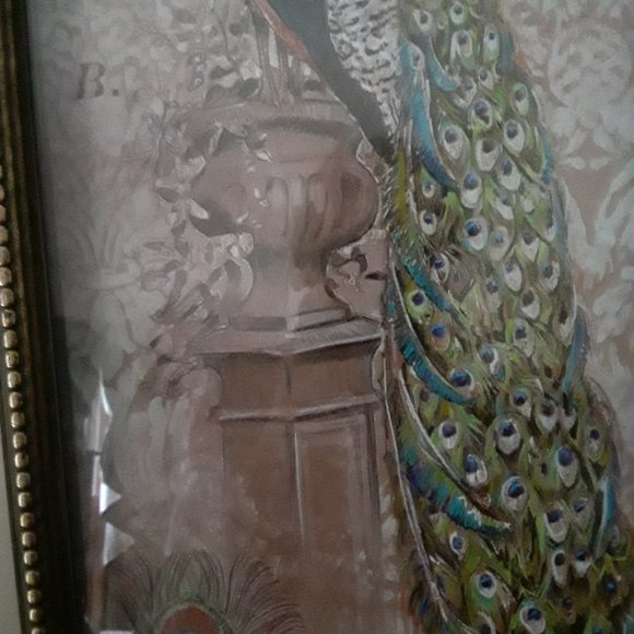 Chad Barrett Art Print of a Peacock - Picture 3 of 8